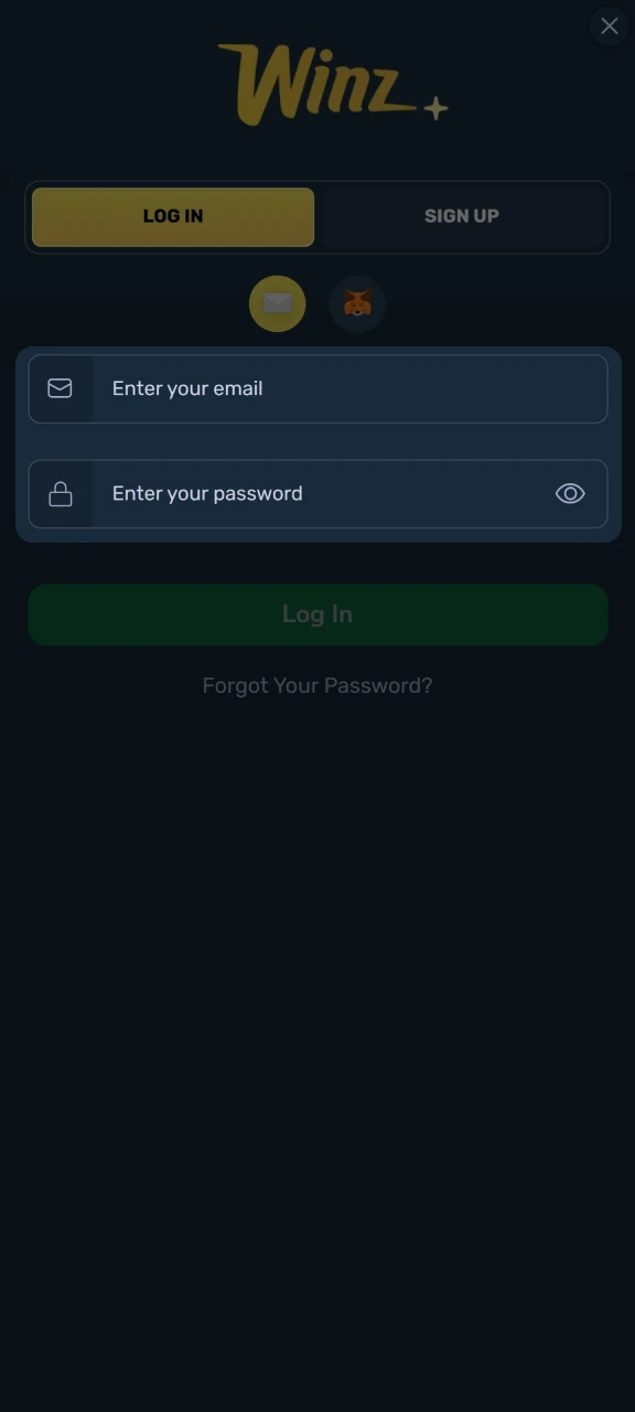 Enter the information on the Winz platform.