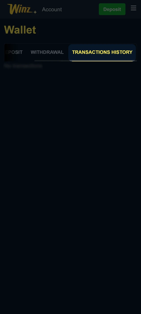 Track your transaction history on the Winz platform.