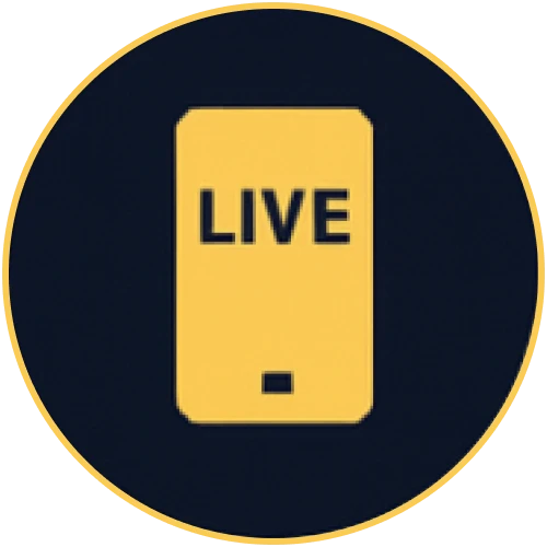 The light mobile interface of Winz loads fast on limited data.