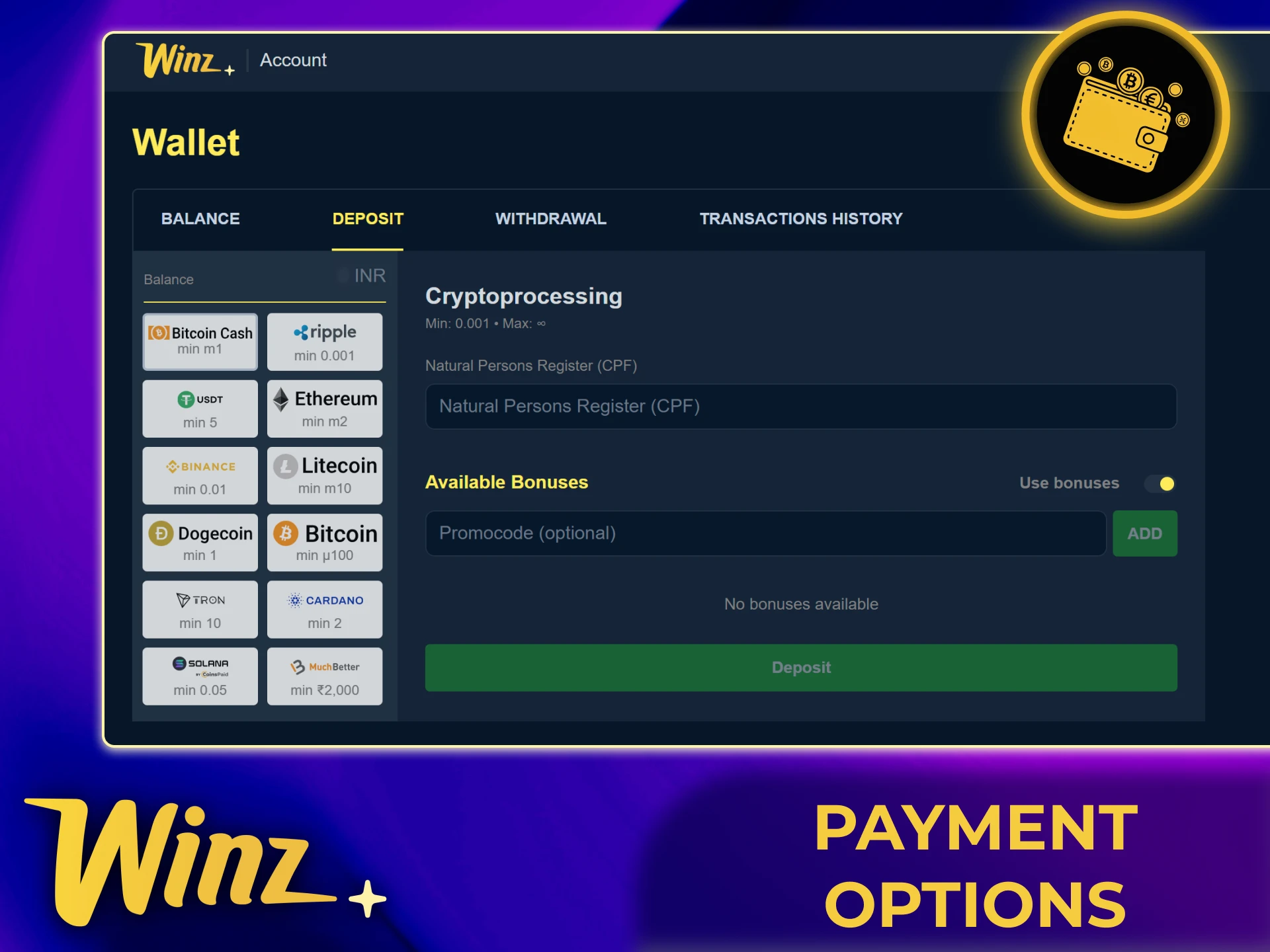 Deposit and withdrawal methods on the official Winz India platform with crypto and banking options.